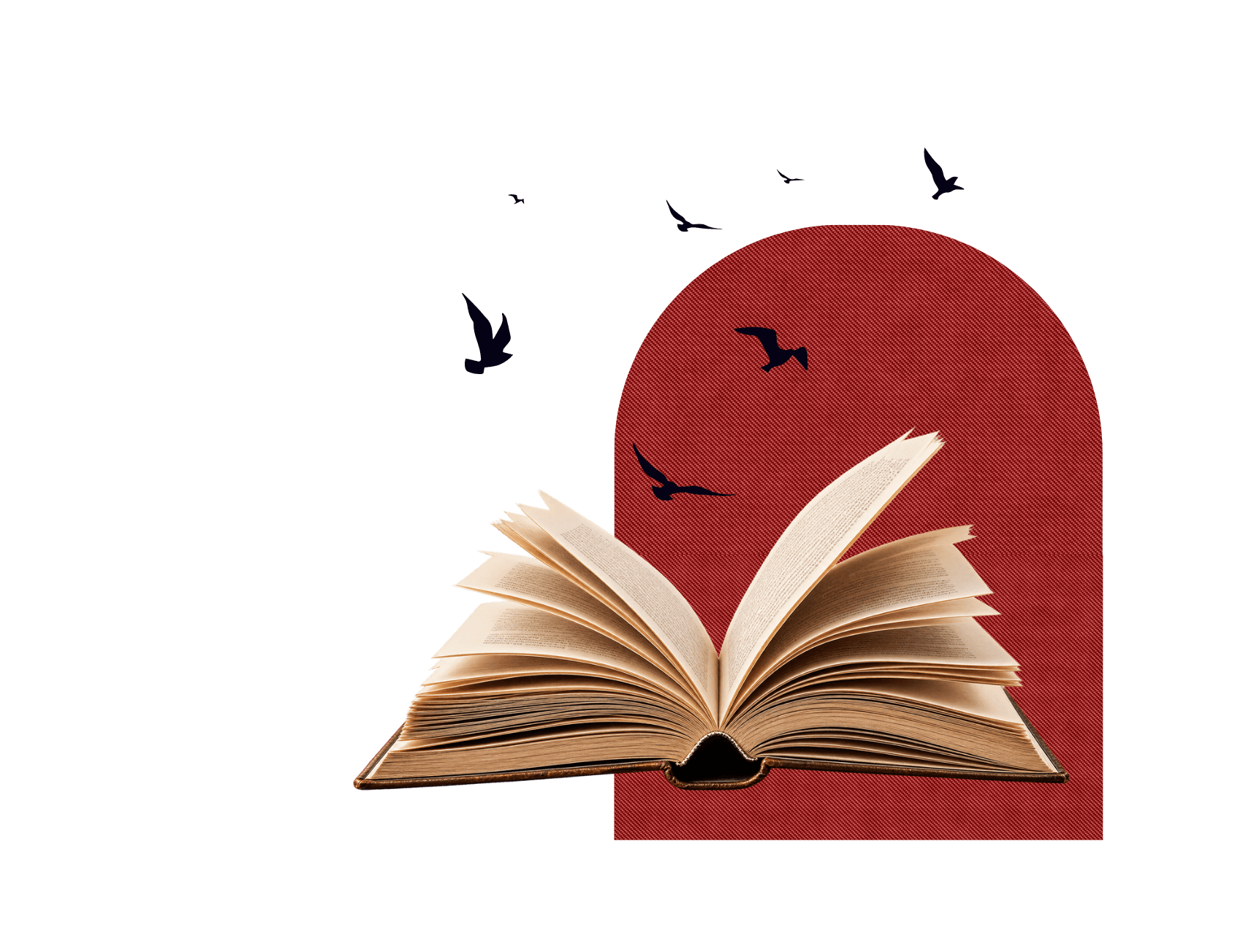 An open book with birds taking flight, set against an arched maroon backdrop
